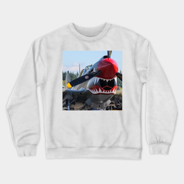 P-40E Shark-Mouth close-up Crewneck Sweatshirt by acefox1